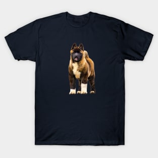 Akita Puppy Dog Akita Inu Love T-Shirt